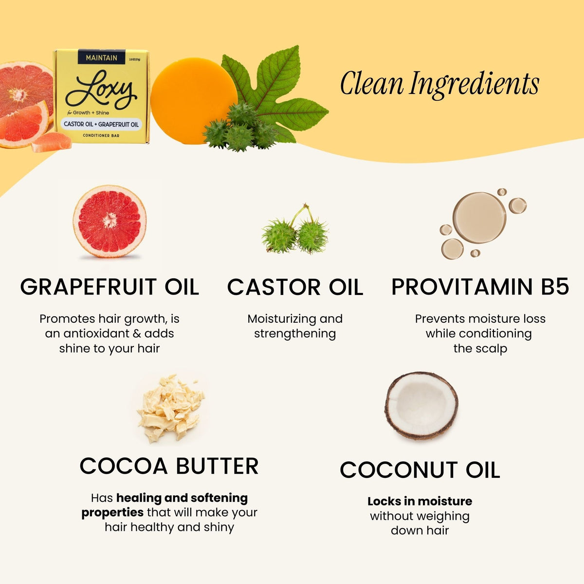 MAINTAIN: Conditioner Bar for growth & shine